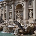 Fontana di Trevi