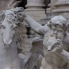 Fontana di Trevi