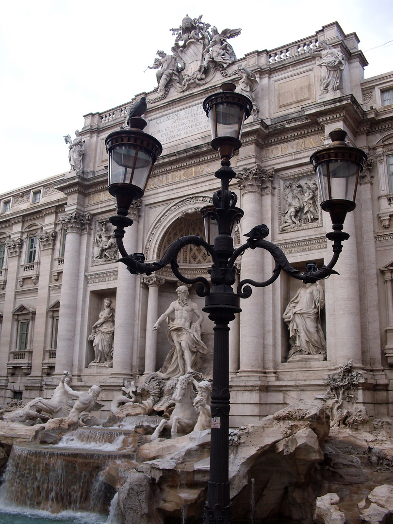 Fontana di Trevi, 2009 Roma