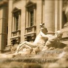 Fontana di Trevi