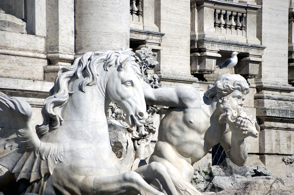 Fontana di Trevi 9