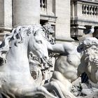 Fontana di Trevi 9