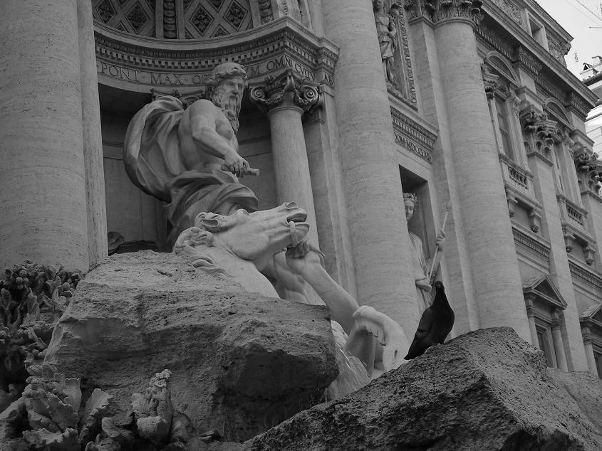 Fontana di Trevi con l'ospite