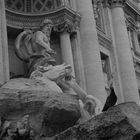 Fontana di Trevi con l'ospite