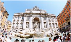 Fontana di Trevi - durch das FischAuge des Betrachters - Roma - (28/2011)