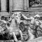 Fontana di Trevi III