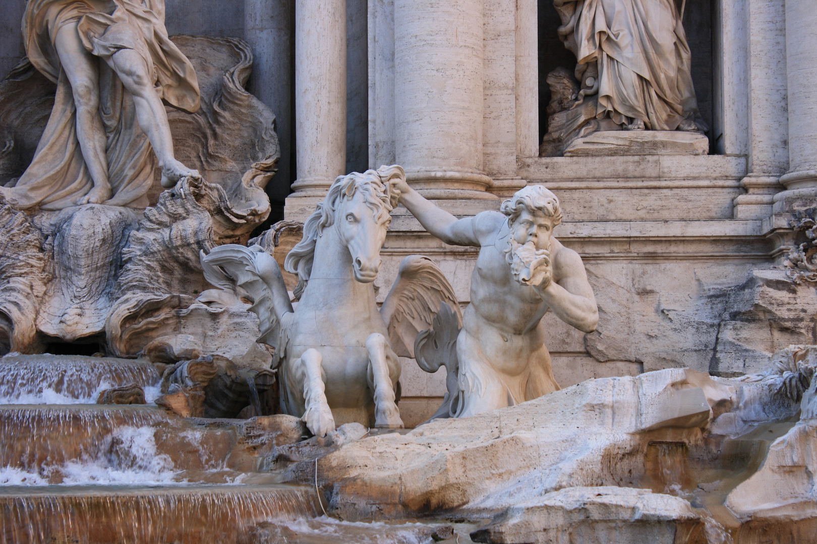 fontana di trevi ( particolare )