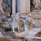 fontana di trevi ( particolare )