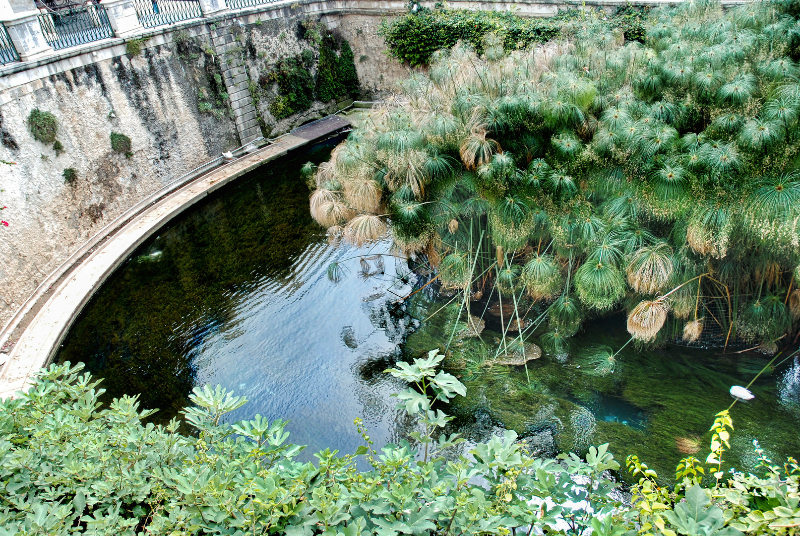 Fonte Aretusa in Syrakus