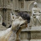 Fonte Gaia Brunnen auf dem Piazza del Campo, Siena