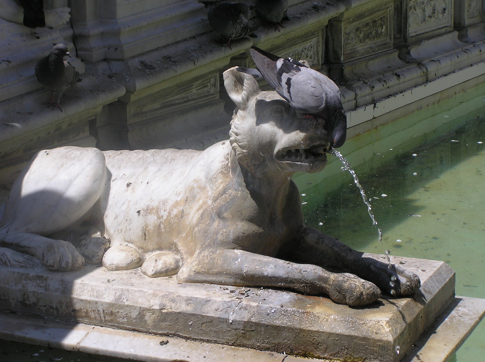 Fonte Gaia di Eva Schmelmer