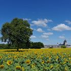 Fontevraud