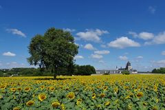 Fontevraud