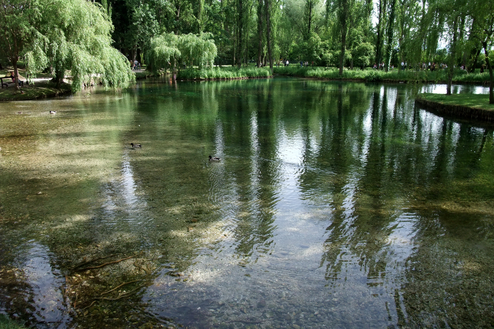 fonti del clitunno