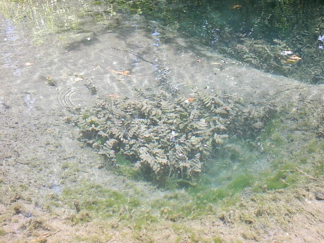 Fonti del Clitunno, Umbrien, Italien