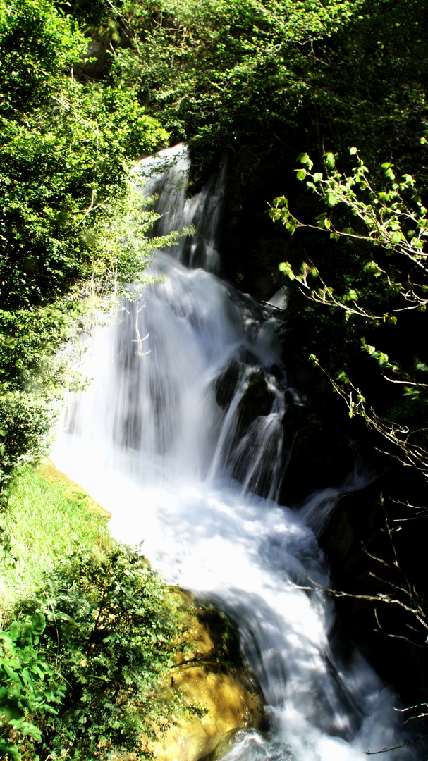 Fonts de Llobregat II