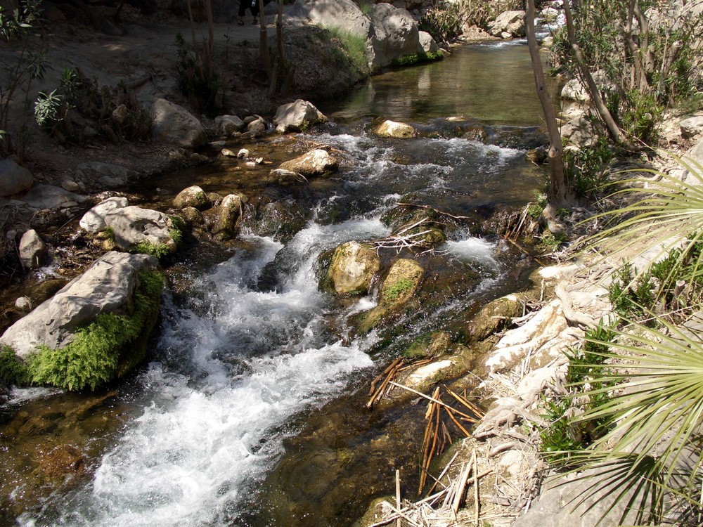 Fonts del Algar 2