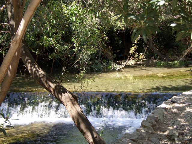 Fonts del Algar