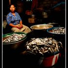 Food Markets