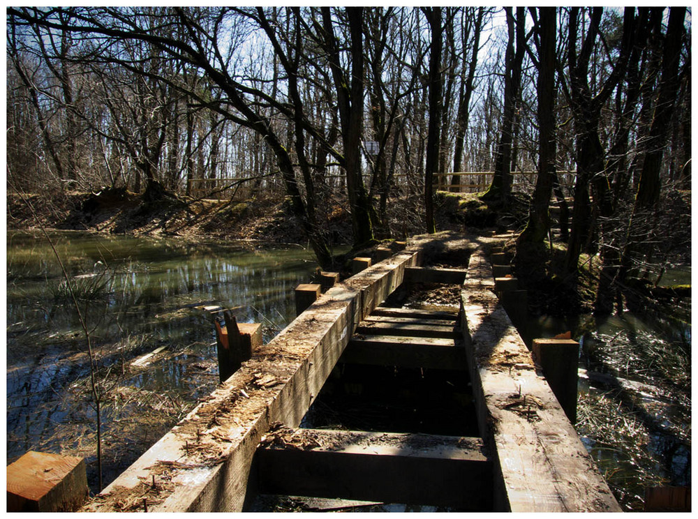 foot-bridge...