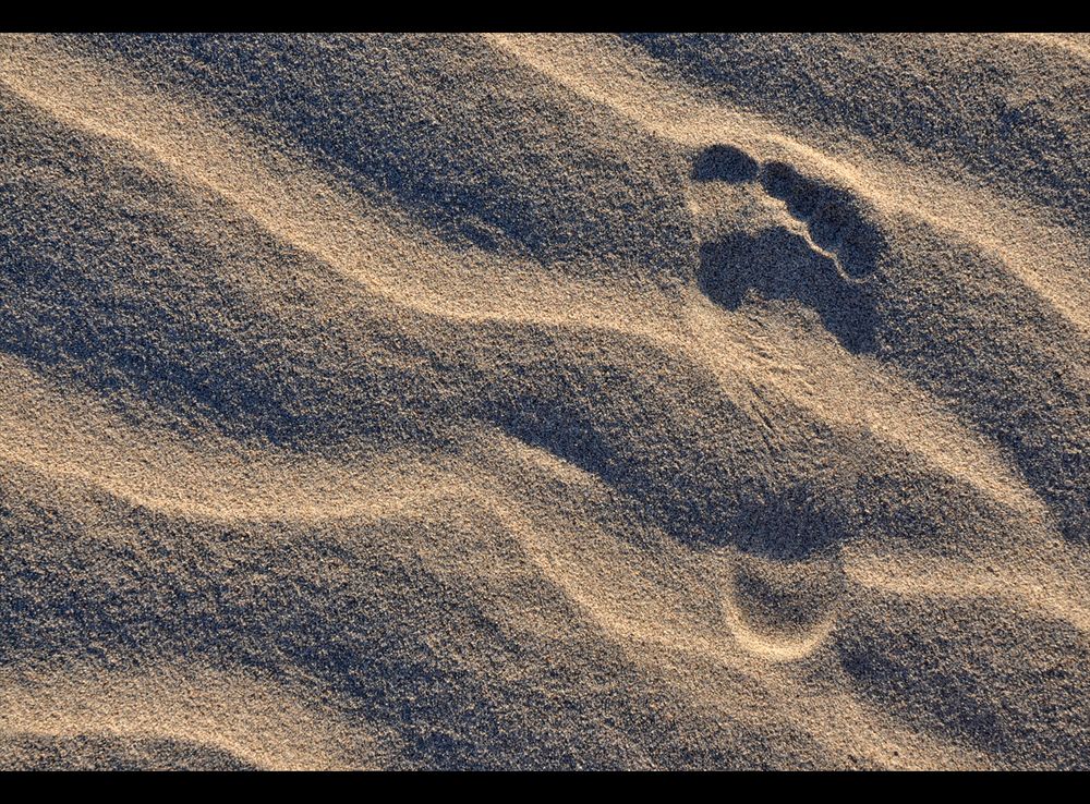 Foot Print