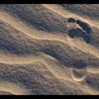 Foot Print