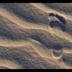 Foot Print