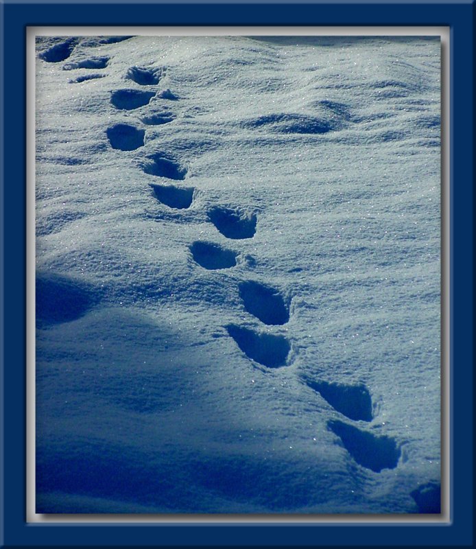 Foot Prints