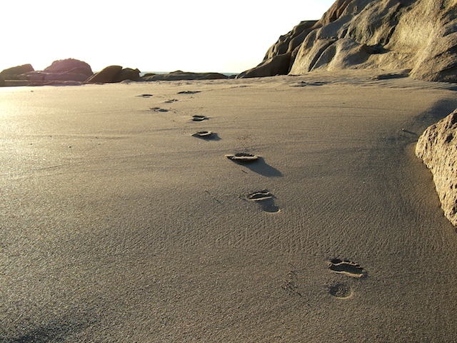 foot prints von Karl H. Stellbrink 