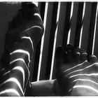 # foot stripes #