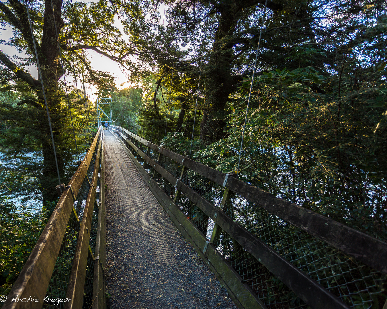 Footbridge over the Tongario river.