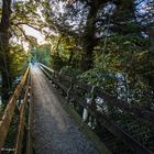 Footbridge over the Tongario river.