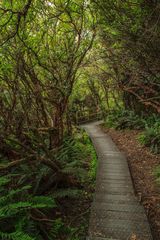 Footpath down to the lake