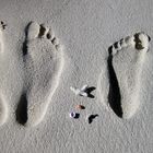 Footprint