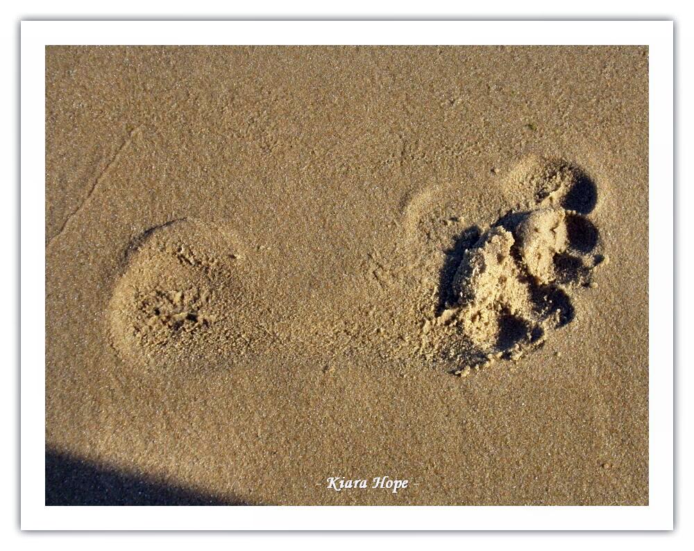 Footprint