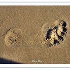 Footprint