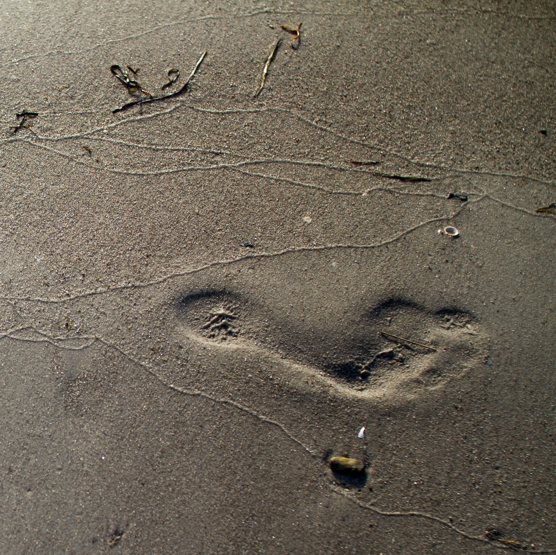 Footprint