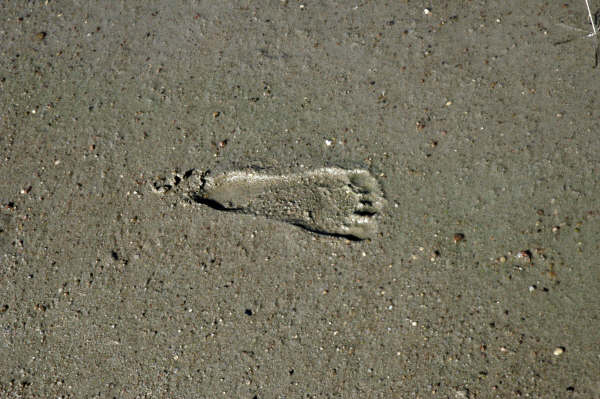 footprint