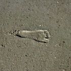 footprint