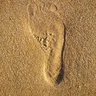 footprint ;-))