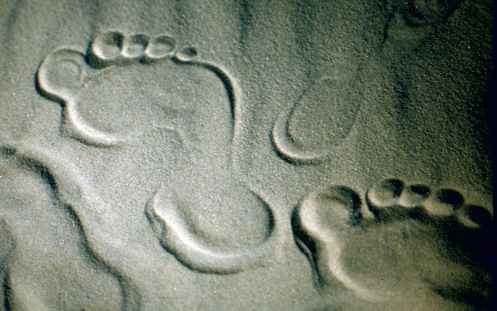 footprint