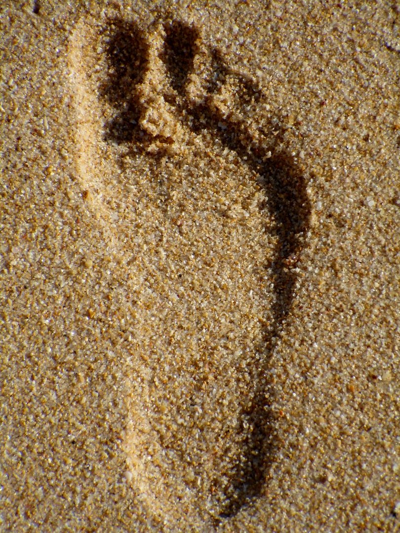 Footprint