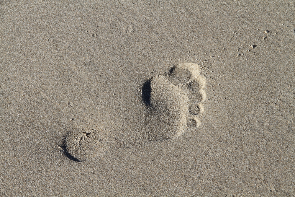 Footprint