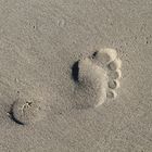 Footprint