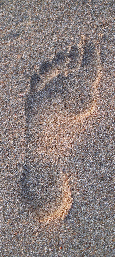 Footprint