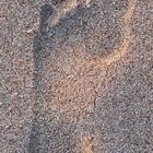 Footprint