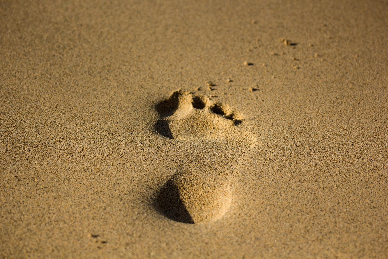 Footprint