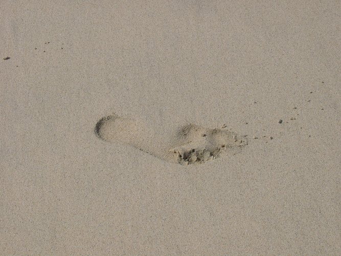 Footprint