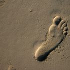 Footprint