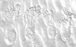 Footprint